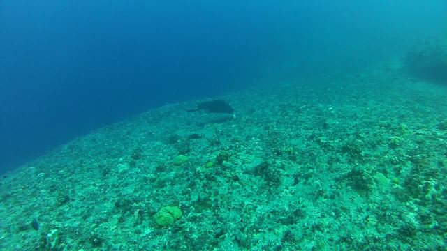 Diving in Guam, Guam - By Michael Kirby