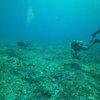 Picture taken during the dive