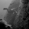 Picture taken during the dive