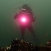 Picture taken during the dive