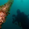 Picture taken during the dive