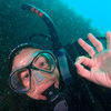 Picture taken during the dive