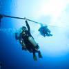 Picture taken during the dive