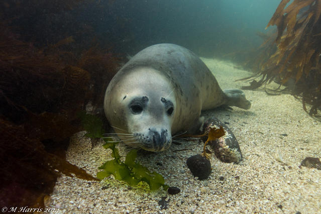 Diving Unlimited - Dive Center in United Kingdom