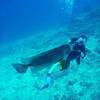 Picture taken during the dive