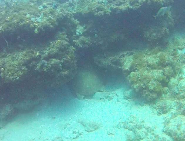 Captain Sl8r Charters - Dive Center in United States