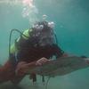 Picture taken during the dive