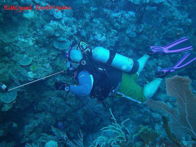 Iace Diving Club - Dive Center in Puerto Rico