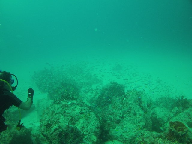 Aquatic Explorers - Dive Center in United States