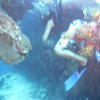 Picture taken during the dive
