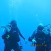 Picture taken during the dive
