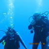 Picture taken during the dive