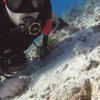 Picture taken during the dive