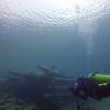 Picture taken during the dive
