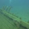 Picture taken during the dive