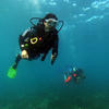 Picture taken during the dive