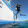 Picture taken during the dive