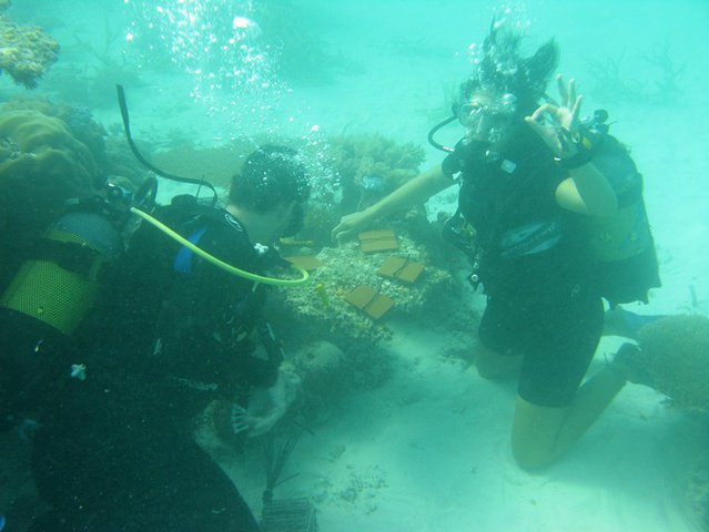 Vamizi Island - Dive Center in 莫桑比克