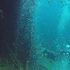 Picture taken during the dive