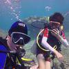 Picture taken during the dive