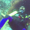 Picture taken during the dive