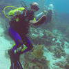 Picture taken during the dive
