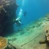 Picture taken during the dive