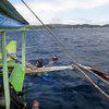 Picture taken during the dive