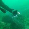 Picture taken during the dive