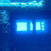 Picture taken during the dive