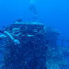Picture taken during the dive