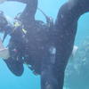 Picture taken during the dive