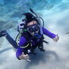 Picture taken during the dive