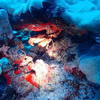 Picture taken during the dive