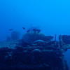 Picture taken during the dive