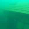 Picture taken during the dive