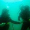 Picture taken during the dive