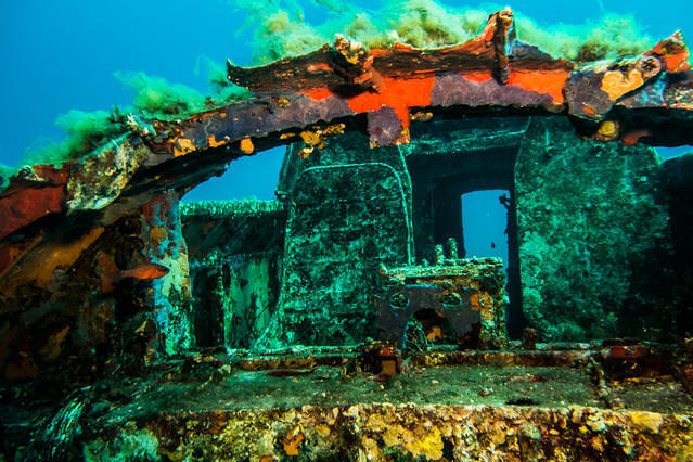 Beluga Diving - Dive Center in France