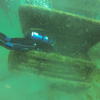 Picture taken during the dive