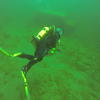Picture taken during the dive