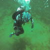 Picture taken during the dive