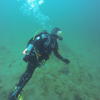 Picture taken during the dive