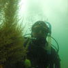 Picture taken during the dive