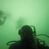 Picture taken during the dive