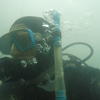Picture taken during the dive