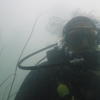 Picture taken during the dive