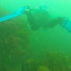 Picture taken during the dive
