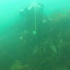 Picture taken during the dive
