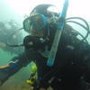 Picture taken during the dive