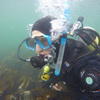 Picture taken during the dive